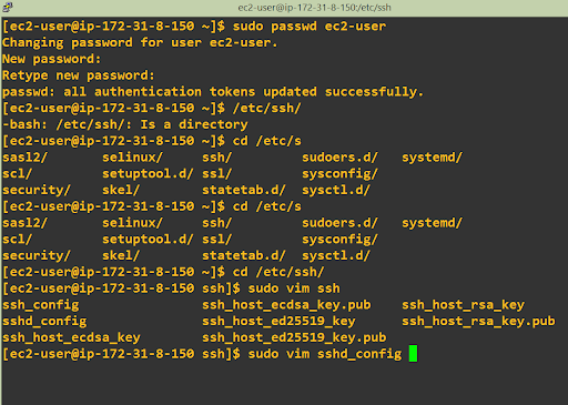 Enable Username  & Password Authentication for Linux EC2