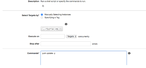 Securely login to your Bastion host Instance with AWS SSM