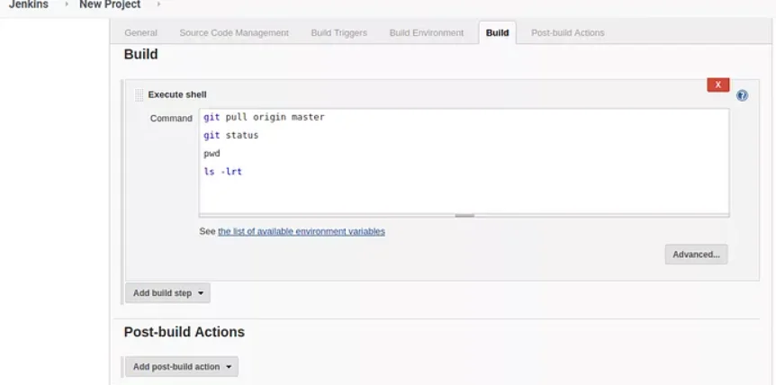 Jenkins new project build enter commands