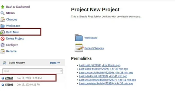 Click Build Now and then Click on Build No